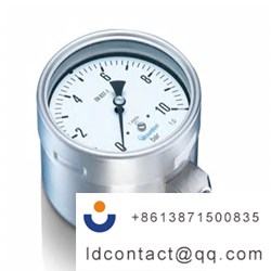 MEX5-D30.B31_Bourdon Stainless Stee